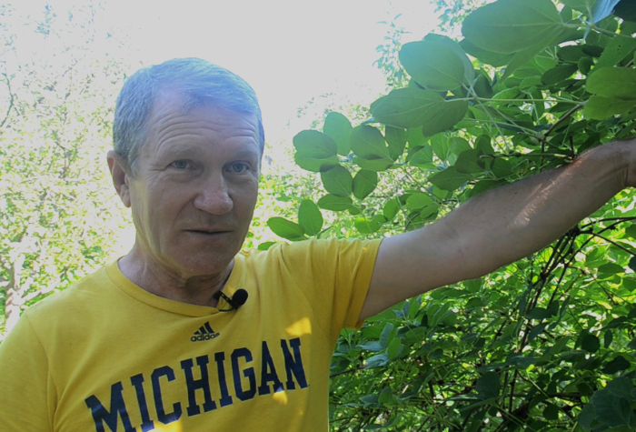 Францішко біля акебії&nbsp;